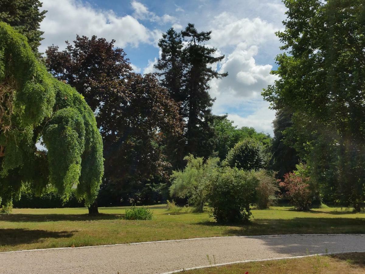 Au Cocon De Sologne Soings-en-Sologne Exterior foto